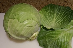 cabbage