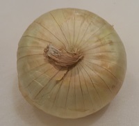 Onion